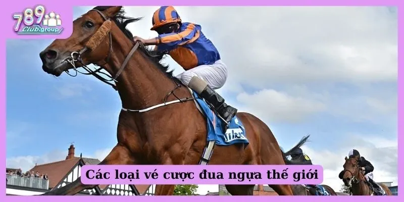 Đua ngựa thế giới là gì? Tất tần tật các thông tin nên biết! 2 Các loại vé cược đua ngựa thế giới mà bạn nên biết