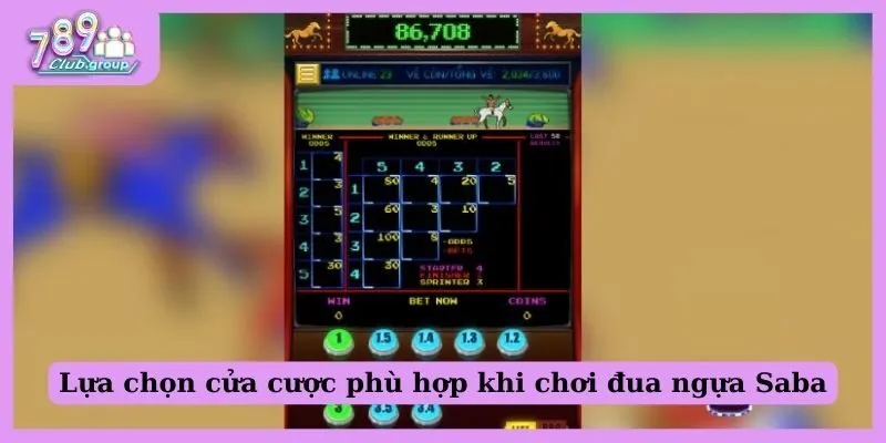 Đua ngựa Saba - Đắm mình vào trò chơi giải trí đỉnh cao! 4 Lựa chọn cửa cược đua ngựa phù hợp với khả năng