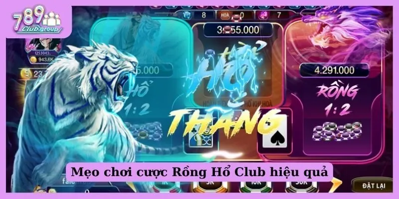 Rồng Hổ Club - Giải mã bí kíp cược chuẩn xác tại 789 Club 3 Mẹo chơi Rồng Hổ Club tại 789 Club nắm chắc chiến thắng