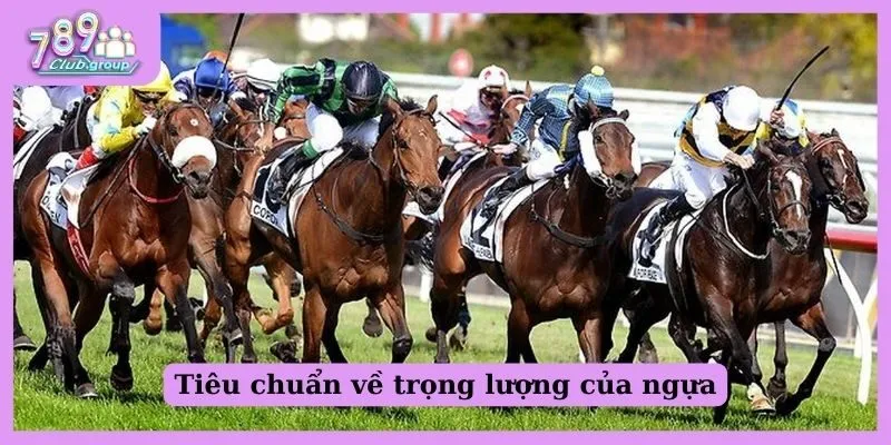 Đua ngựa thế giới là gì? Tất tần tật các thông tin nên biết! 4 Quy tắc về trọng lượng của ngựa đua trong giải đấu